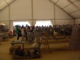 phoca_thumb_l_fotosnoviembre2012 1694